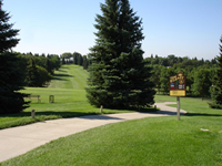 tom o'leary golf course