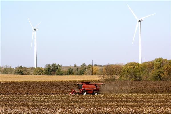combine in field