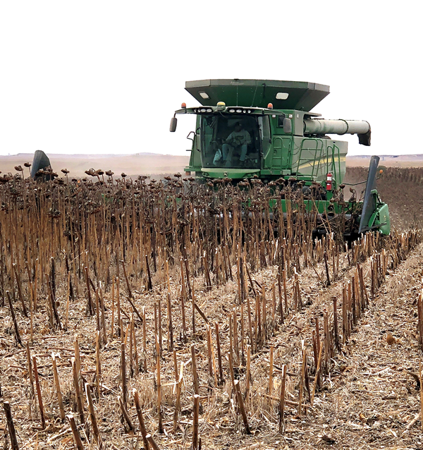 harvesting combine