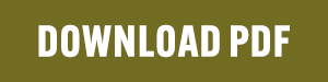Download PDF button