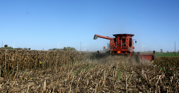 combine in field