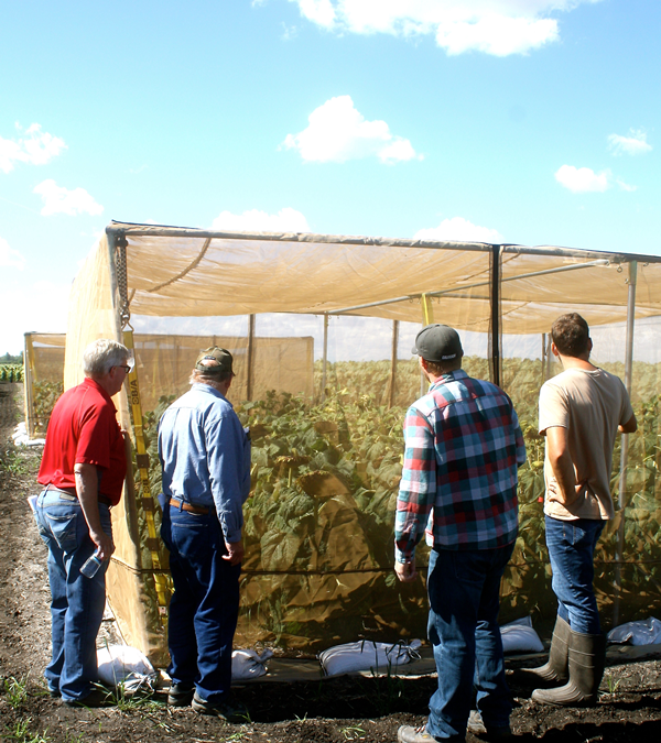 researchers looking at survey plot