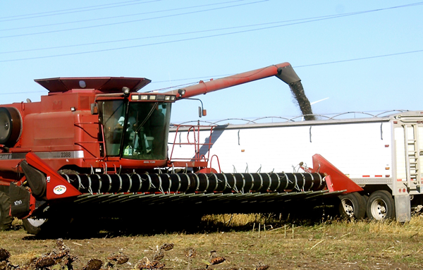 Combine in field