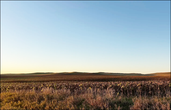 Beer farm in northwestern South Dakota, landscape and sky
