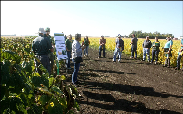 Researchers in field with poster