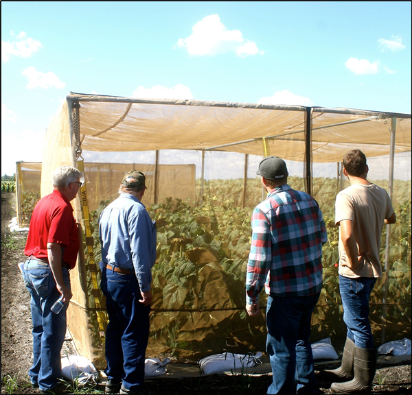 4 men standing by research plot with netting