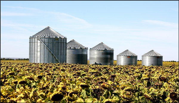 5 storage bins in field