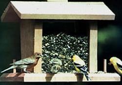 424_birds_at_feeder.jpg