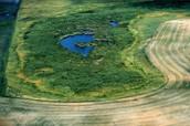 Untreated Wetlands