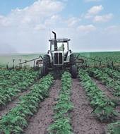 farmer cultivating field
