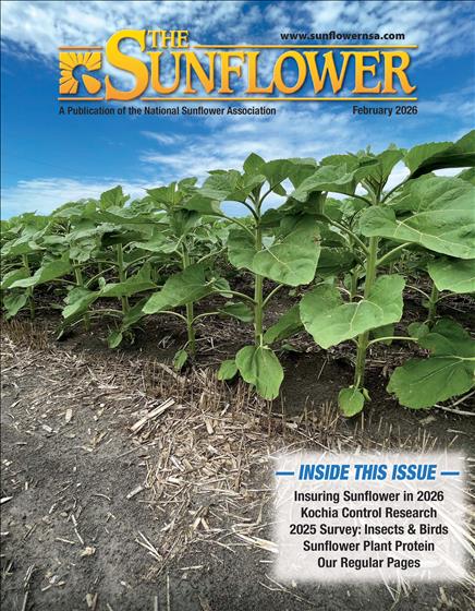The Sunflower Magazine Cover